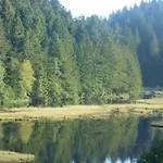 Domaine Des Hauts Viaux Hotel La Bresse