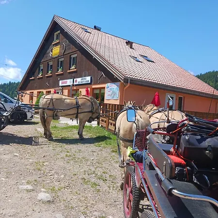 Des Hauts Viaux