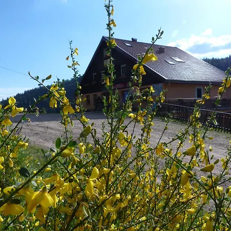 Domaine Des Hauts Viaux Hotel La Bresse