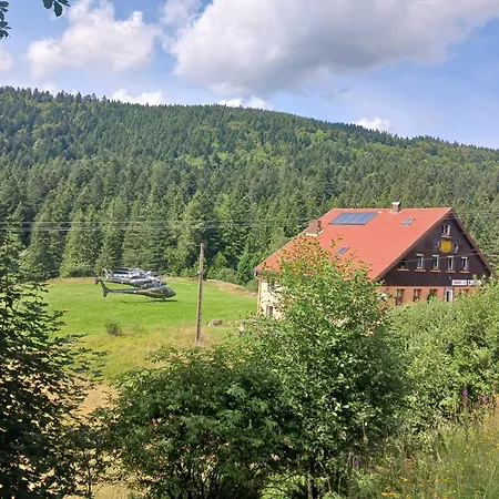 Domaine Des Hauts Viaux *