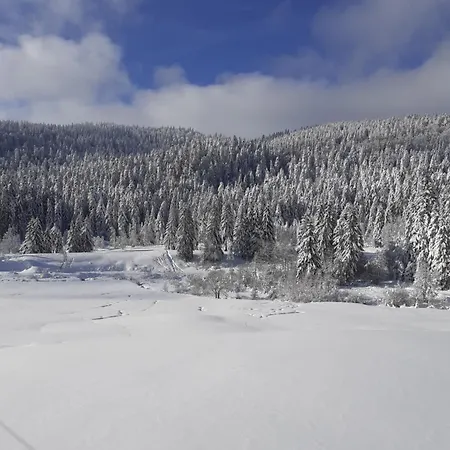 Domaine Des Hauts Viaux