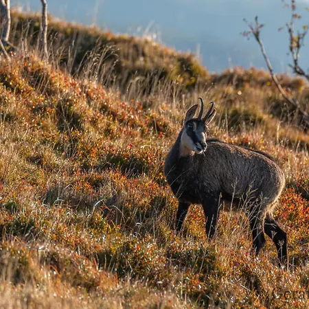 Domaine Des Hauts Viaux Hotel *