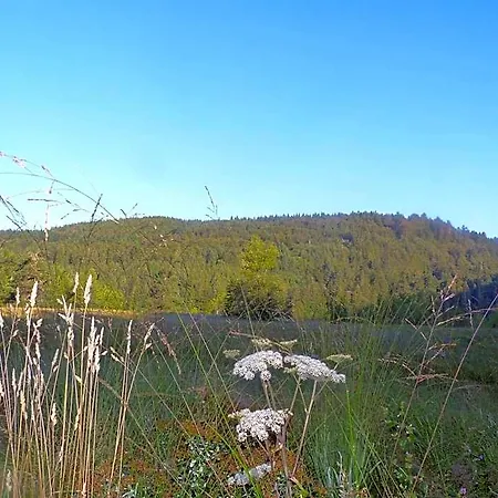 Domaine Des Hauts Viaux Ξενοδοχείο *