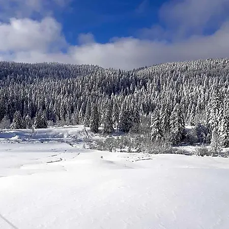 Szálloda Domaine Des Hauts Viaux La Bresse