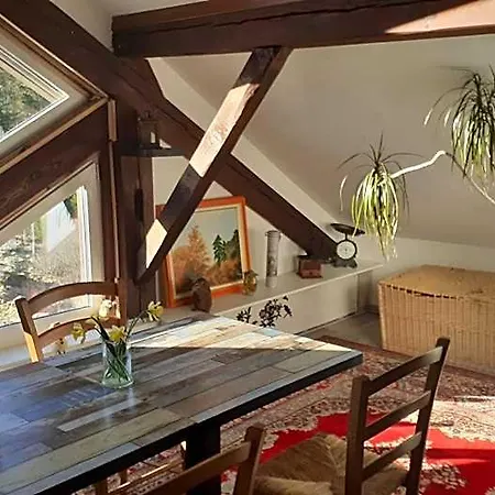 Domaine Des Hauts Viaux Szálloda La Bresse