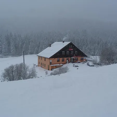 Domaine Des Hauts Viaux