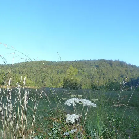 Hotel Domaine Des Hauts Viaux