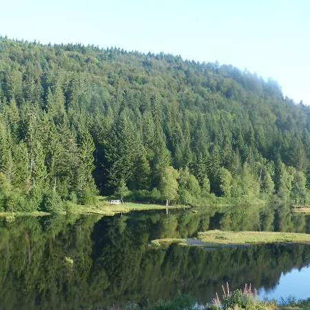 Domaine Des Hauts Viaux