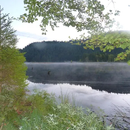 Domaine Des Hauts Viaux