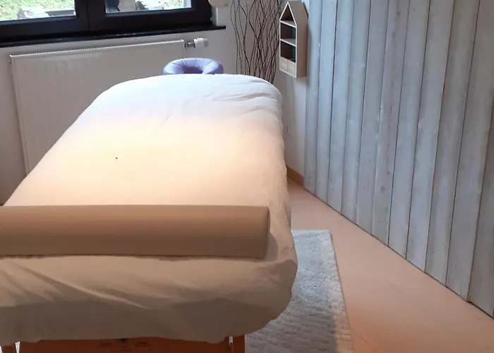 酒店 Domaine Des Hauts Viaux *