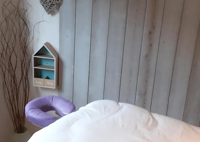 Domaine Des Hauts Viaux * 拉布雷斯