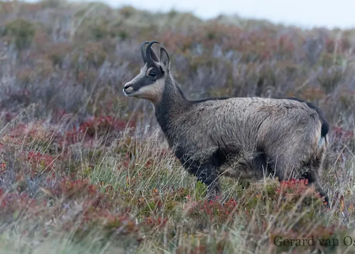 Domaine Des Hauts Viaux Hotel *