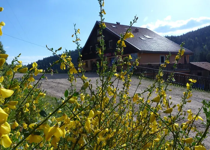 Domaine Des Hauts Viaux Hotel La Bresse