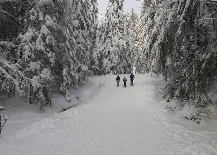 酒店 Domaine Des Hauts Viaux 拉布雷斯