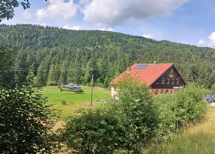 Domaine Des Hauts Viaux *