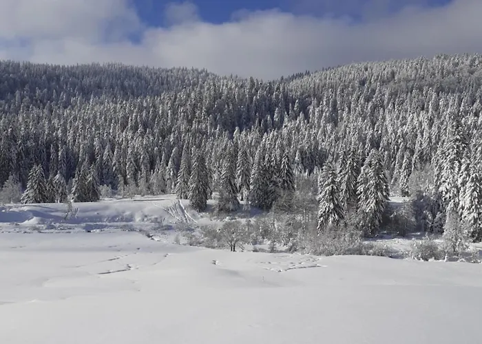 Domaine Des Hauts Viaux