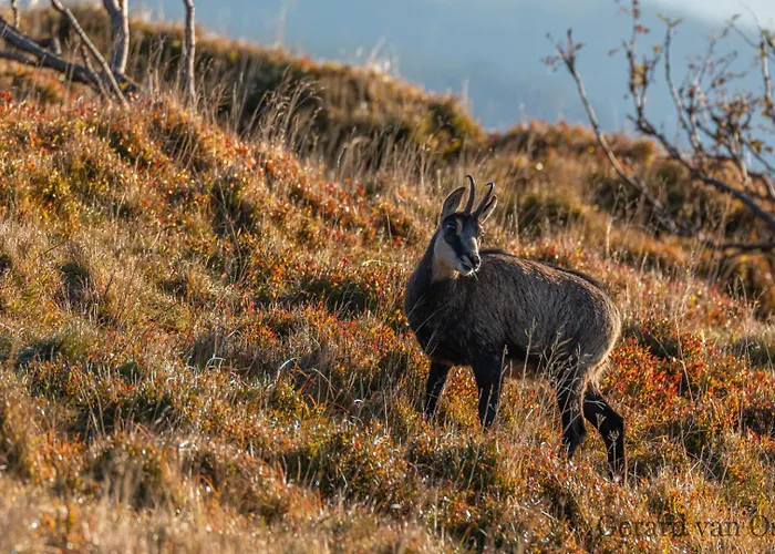 Domaine Des Hauts Viaux Hotel *