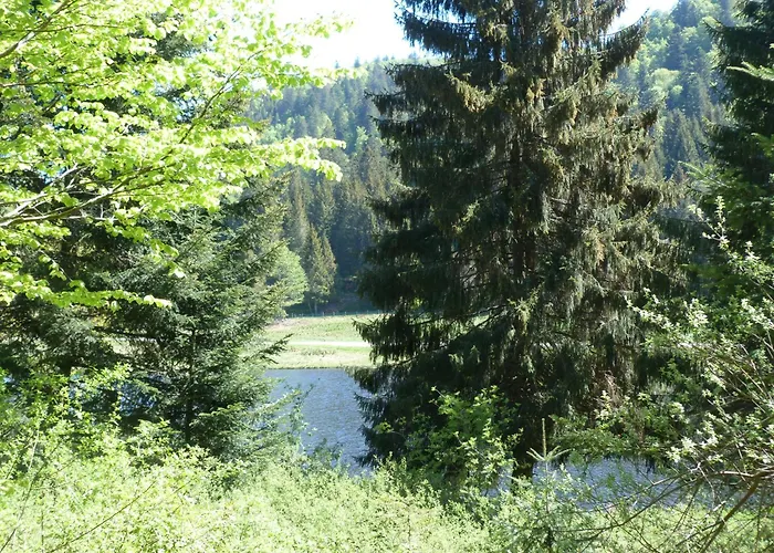 酒店 Domaine Des Hauts Viaux *