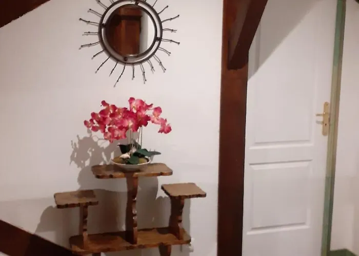 Domaine Des Hauts Viaux