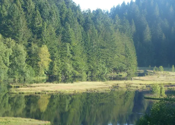 Domaine Des Hauts Viaux Hotel La Bresse