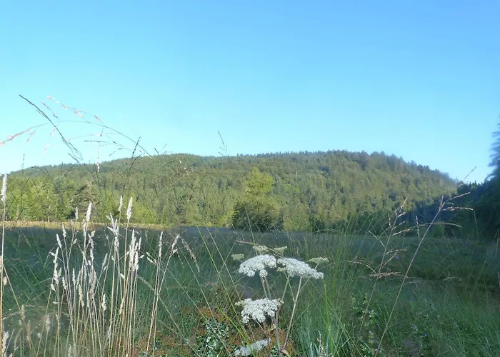 酒店 Domaine Des Hauts Viaux