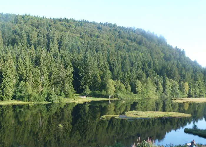 Domaine Des Hauts Viaux