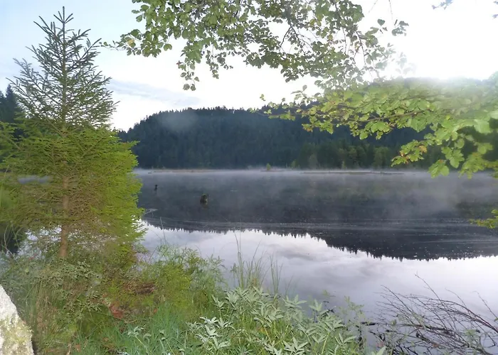 Domaine Des Hauts Viaux